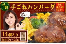 赤村養生館 特製手ごねハンバーグ 14個 B19