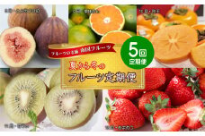 フルーツの老舗“南国フルーツ”の夏から冬のフルーツ定期便【全5回】 4A28