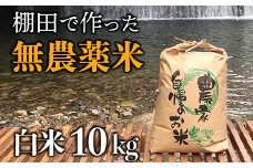 【新米】赤村産棚田米こだわりの夢つくし（精米）10kg J5-S