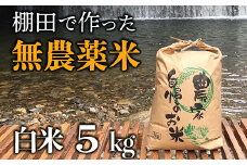 【新米】赤村産棚田米こだわりの夢つくし（精米）5kg J4-S