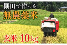 【新米】赤村産棚田米こだわりの夢つくし（玄米）10kg J2-S