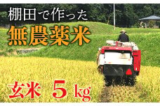【新米】赤村産棚田米こだわりの夢つくし（玄米）5kg J1-S