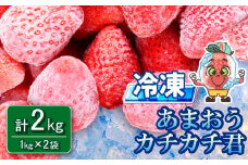 冷凍 あまおう カチカチ君 (1kg×2袋)  冷凍あまおう 冷凍 苺 いちご 小分け 苺 スムージー ジャム 削り氷 デザート 果物 くだもの フルーツ フローズン フローズンいちご おやつ 送料無料 3W14