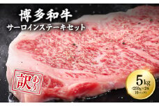 【訳あり】博多和牛サーロインステーキセット 5kg（250g２枚入り×10ｐ） Y13-S