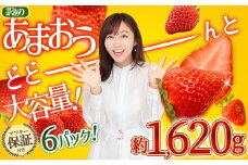 【福岡県産 あまおう】テレビ 「 ヒルナンデス 」 で紹介されました！ 訳あり グランデ 約 270g 前後 × 6パック ふるさと納税 あまおう いちご イチゴ 苺 博多 赤村 あまおう  果物 くだもの フルーツ ジャム にも ケーキ にも 先行予約 数量限定 ふるさと ランキング 人気 おすすめ 福岡 TV紹介 送料無料 3W13