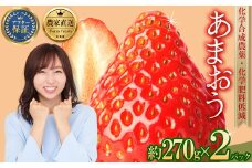 農家直送！特別栽培 あまおう 約270g前後 × 2パック ふるさと納税 いちご イチゴ 苺 赤村 果物 くだもの フルーツ ジャム にも ケーキ にも 先行予約 数量限定 ふるさと ランキング 人気 おすすめ 福岡 3W19       