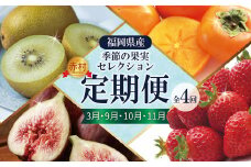 福岡県認定 季節の果実セレクション【定期便 全4回】 3W26 