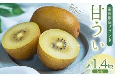 福岡県産 キウイ 甘うぃ 約1.4kg (9玉) 3W25