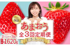【 あまおう 定期便 全3回】福岡県産あまおう 約270g 前後 ×２パック いちご イチゴ あまおう 福岡限定 ブランド 果物 フルーツ ストロべリー スイーツ ケーキ パフェ スムージー ジャム 国産 福岡県 お取り寄せ 送料無料 3W27