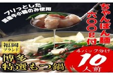 博多特選もつ鍋 10人前 4R17