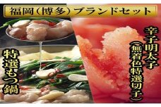 もつ鍋 2.5人前と辛子明太子(切子・無着色)3パック 計450g 4R18