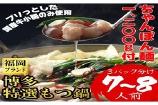 博多特選もつ鍋 7～8人前 4R16-S
