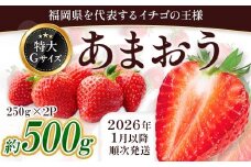 福岡県産 あまおう 約500g前後（約250g×2）1月～3月発送 3KC2