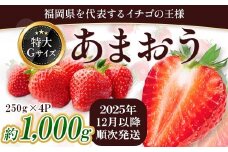 福岡県産 あまおう 約1000g前後（約250g×4）12月以降発送 3KC5