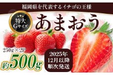 福岡県産 あまおう 約500g前後（約250g×2）12月以降発送 3KC4