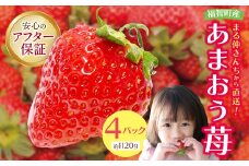 W21-02 ≪予約≫自然農法アルギット農業「あまおう苺」(4パック) いちご ※2026年1月上旬より順次発送 あまおう いちご イチゴ 苺 福岡 高級 デザート 果物 くだもの フルーツ