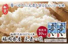 U17-22-01 福岡の人気銘柄!!無洗米 福岡県産・元気つくし10kg お米 米 こめ コメ ブランド米 白米 人気 おすすめ 無洗米 げんきつくし 福岡県産米 食料品 福岡県