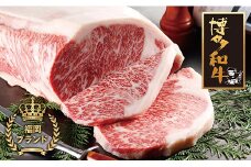 U09-04-01 博多和牛 サーロインステーキ用740g 牛肉 国産 和牛 人気 牛肉 サーロイン おすすめ 冷凍 ステーキ すてーき 牛肉 国産 ブランド 和牛 ギフト 贈答 絶品 高級 高品質 お取り寄せ お歳暮 