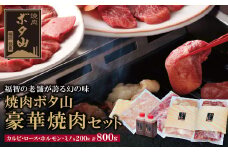 U05-03 老舗秘伝タレ 焼肉ボタ山4種セット 計800g カルビ ロース ホルモン ミノ 牛肉 ぎゅうにく 焼肉 焼き肉 焼肉セット 人気 おすすめ 詰め合わせ BBQ バーベキュー 盛り合わせ セット 父の日 ギフト