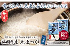 U17-86-01 無洗米 福岡県産・元気つくし10kg定期便(毎月・年12回) お米 米 こめ コメ ブランド米 白米 人気 おすすめ 無洗米 げんきつくし 福岡県産米 食料品 福岡県 毎月お届け