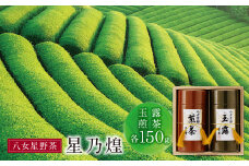 U26-07 八女星野「星乃煌」(玉露・煎茶 各150g)【上野焼チャンス】