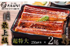 U02-20 国産うなぎ使用！ 老舗たちばな 国産うなぎ蒲焼 超特大 (合計 250g以上) 2尾 鰻 うなぎ 南九州産うなぎ 鰻 ウナギ 国産鰻 人気 おすすめ たれ 蒲焼 蒲焼き 特大 鰻 かばやき 冷凍 鰻 うな重 ひつまぶし 福智町