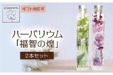 U33-05-01 ハーバリウム「福智の煌」(緑×紫)2本セット  ギフト 