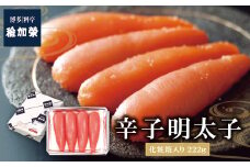 U81-01-01 稚加榮 辛子明太子(化粧箱入り)222g PA2 稚加栄 ちかえ めんたいこ 明太子 辛子明太子 明太 海鮮 魚介類 人気 明太子 おすすめ 魚介 福岡 明太子 博多