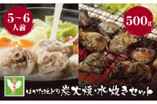 U12-06-01 はかた地どり 炭火焼500g＆水炊き(5～6人前)セット 【上野焼チャンス】
