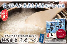 U17-81-01 無洗米 福岡県産・元気つくし10kg定期便(隔月・年6回) お米 米 こめ コメ ブランド米 白米 人気 おすすめ 無洗米 げんきつくし 福岡県産米 食料品 福岡県 定期便