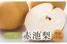 U18-32 【先行予約！】 赤池梨（豊水）約2.5kg 「8月中旬～9月中旬お届け」 梨 果物 くだもの なし フルーツ 国産 季節限定 人気 梨 贈り物 デザート おすすめ スイーツ 予約 期間限定 豊水