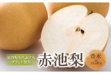 U18-33 【先行予約！】 赤池梨（豊水）約5kg 「8月中旬～9月中旬お届け」 梨 果物 くだもの なし フルーツ 国産 季節限定 人気 梨 贈り物 デザート おすすめ 梨 スイーツ 予約 期間限定 豊水