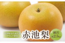 U18-34 【先行予約！】 赤池梨（秋月）約2.5kg 「9月中旬～9月下旬お届け」 梨 果物 くだもの なし フルーツ 国産 季節限定 人気 梨 贈り物 デザート おすすめ スイーツ 予約 期間限定 秋月