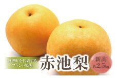 U18-36 【先行予約！】 赤池梨（新高）約2.5kg 「9月下旬～10月下旬お届け」 梨 果物 くだもの なし フルーツ 国産 季節限定 人気 梨 贈り物 デザート おすすめ スイーツ 予約 期間限定 新高