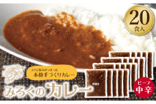 U27-05 みろくのカレー20食（中辛）【上野焼チャンス】
