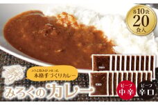U27-06 みろくのカレー20食（中辛10食・辛口10食）【上野焼チャンス】