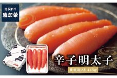 U81-02 稚加榮 辛子明太子(化粧箱入り)445g PA4 明太子 めんたいこ 魚介類 海鮮 卵 明太子 明太 人気 明太子 おすすめ 辛子明太子 めんたいこ おつまみ 贈答 料亭