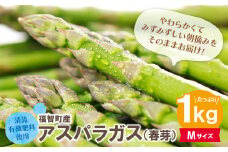 U18-20-01 清流・有機肥料使用 アスパラガス(春芽) 1kg(Mサイズ) 朝採り 旬 旬野菜 新鮮 アスパラ アスパラガス 野菜 とれたて お取り寄せ 福岡県 福智町 国産 九州産 送料無料