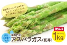 U18-23 期間限定8月12日入金まで!! 【訳あり】清流・有機肥料使用 アスパラガス(夏芽) 1kg 朝採り 旬 旬野菜 新鮮 アスパラ アスパラガス 野菜 とれたて お取り寄せ 福岡県 福智町 国産 九州産 送料無料 あすぱらがす 人気 アスパラガス おすすめ アスパラガス 訳あり 常温