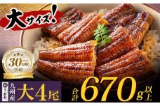 U61-73-05 ふっくらジューシー！ 国産うなぎ蒲焼大サイズ4尾（計670g以上）鰻蒲焼用タレ・山椒付 うなぎ 生産量日本一鹿児島県産うなぎ 宮崎県産うなぎ 熊本県産うなぎ 九州産 うなぎ 鰻 人気 おすすめ 鰻 ウナギ うなぎ 国産 冷凍 蒲焼 うな重 ひつまぶし 土用 丑の日