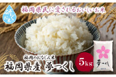 U17-17-01 研ぐお米 夢つくし5kg お米 米 こめ コメ 精米 ブランド米 白米 人気 おすすめ 夢つくし ゆめつくし 福岡県産米 食料品 福岡県 【上野焼チャンス】