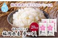 U17-19-01 研ぐお米 夢つくし20kg お米 米 こめ コメ 精米 ブランド米 白米 人気 おすすめ 夢つくし ゆめつくし 福岡県産米 食料品 福岡県 【上野焼チャンス】