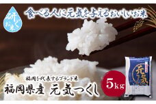U17-25-01 研ぐお米 元気つくし5kg お米 米 こめ コメ 精米 ブランド米 白米 人気 おすすめ 元気つくし げんきつくし 福岡県産米 食料品 福岡県 【上野焼チャンス】