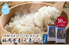 U17-87-01 研ぐお米 福岡県産・元気つくし10kg定期便(毎月・年12回) お米 米 こめ コメ 精米 ブランド米 白米 人気 おすすめ 元気つくし げんきつくし 福岡県産米 食料品 福岡県 定期便 毎月お届け