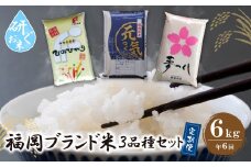 U17-85-01 研ぐお米 福岡県産米3品種セット6kg 定期便(隔月・年6回) お米 米 こめ コメ ブランド米 夢つくし ヒノヒカリ 元気つくし 白米 人気 おすすめ 精米 ゆめつくし ひのひかり げんきつくし 福岡県産米 食料品 福岡県 定期便 【上野焼チャンス】