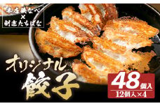 U02-12-01 こだわりの1品！ 本店鉄なべ×割烹たちばな オリジナル餃子48個 国産 肉 餃子 ぎょうざ ギョーザ ギョウザ 小分け 人気 餃子 おすすめ 餃子 冷凍 おかず おつまみ 割烹 名店 ご当地グルメ