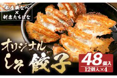 U02-14-01 こだわりの1品！ 本店鉄なべ×割烹たちばな 餃子セット48個(オリジナル・しそ各24個) 国産 肉 餃子 ぎょうざ ギョーザ ギョウザ 小分け 人気 餃子 おすすめ 餃子 冷凍 おかず おつまみ 割烹 名店 ご当地グルメ 【上野焼チャンス】