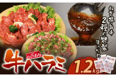 U61-43-01 【訳あり】牛ハラミ肉(旨辛、ねぎ塩) 1.2kg 旨辛 ねぎ塩 牛肉 焼肉 味付け肉 BBQ 簡単 冷凍 家庭用 大人気 コスパ 手軽