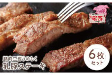 U04-06-01 品質本位のブランド豚！ 乳豚 ステーキ6枚 計900g 国産 豚肉 ぶたにく ロース肉 ブランド豚 ステーキ ロース 厚切り とんかつ カツ丼 人気 おすすめ おかず 料理 【上野焼チャンス】