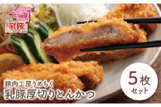 U04-07-01 品質本位のブランド豚！ 乳豚 厚切りとんかつ5枚 計1.15kg 豚肉 ぶたにく とんかつ トンカツ ロース肉 厚切り 国産豚 人気 おすすめ スライス セット ブランド豚 【上野焼チャンス】